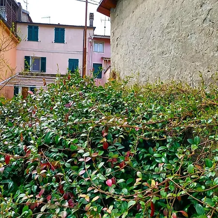 Cinque Terre+una Daire Brugnato